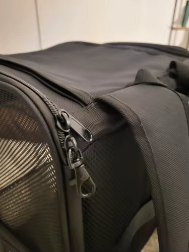 Pet Backpack Carrier with Mesh Windows