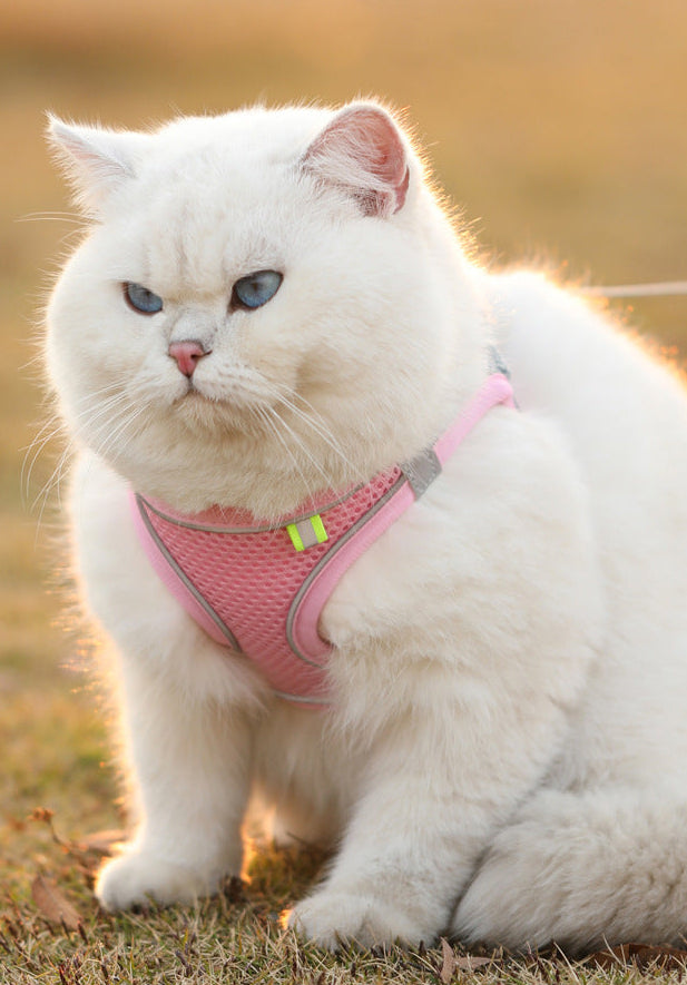 Comfy Adjustable Pet Harness Set