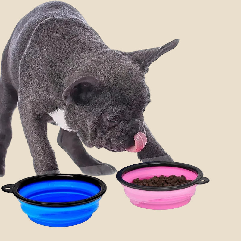 Folding Silicone Pet Travel Bowl