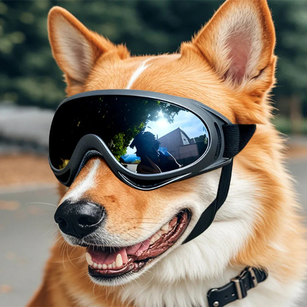 Adjustable Dog Glasses