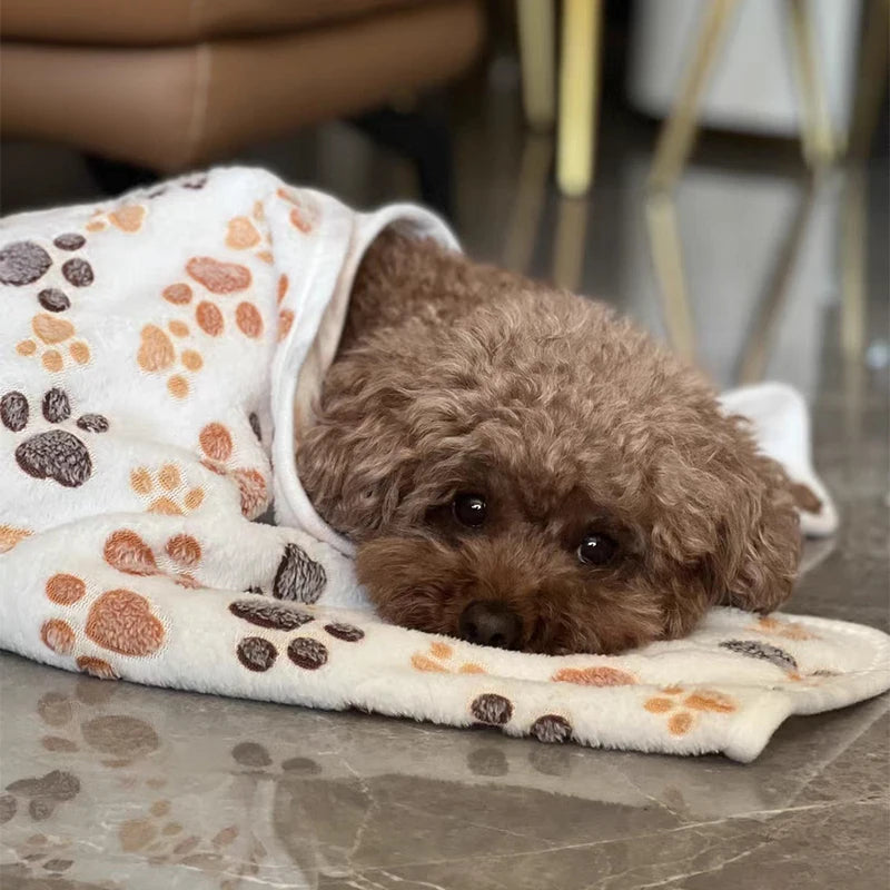 Warm Fleece Pet Blanket