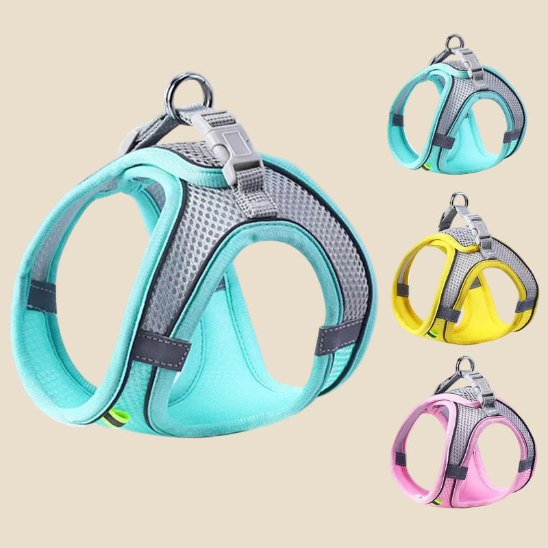 Comfy Adjustable Pet Harness Set