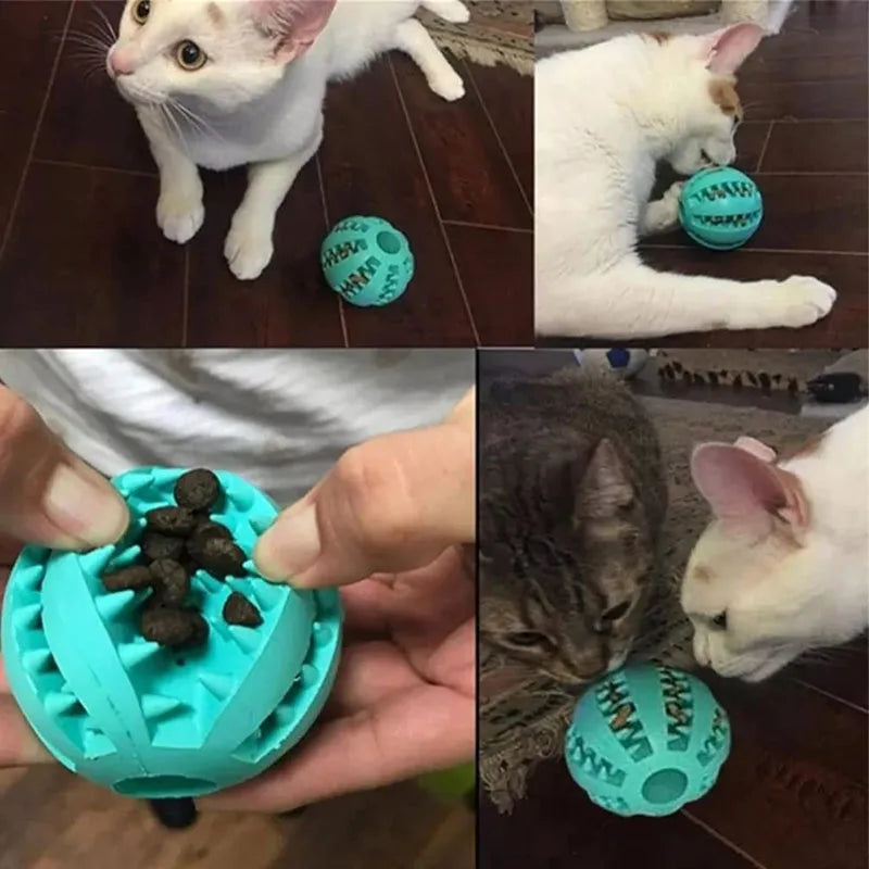 Interactive Treat Ball