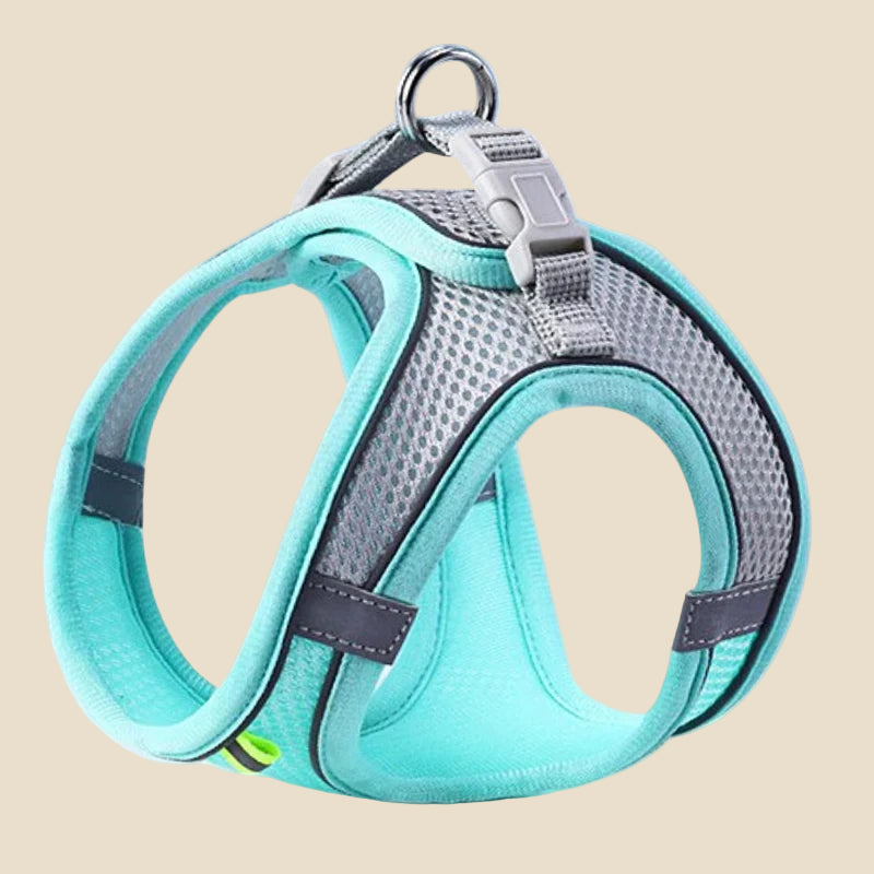 Comfy Adjustable Pet Harness Set