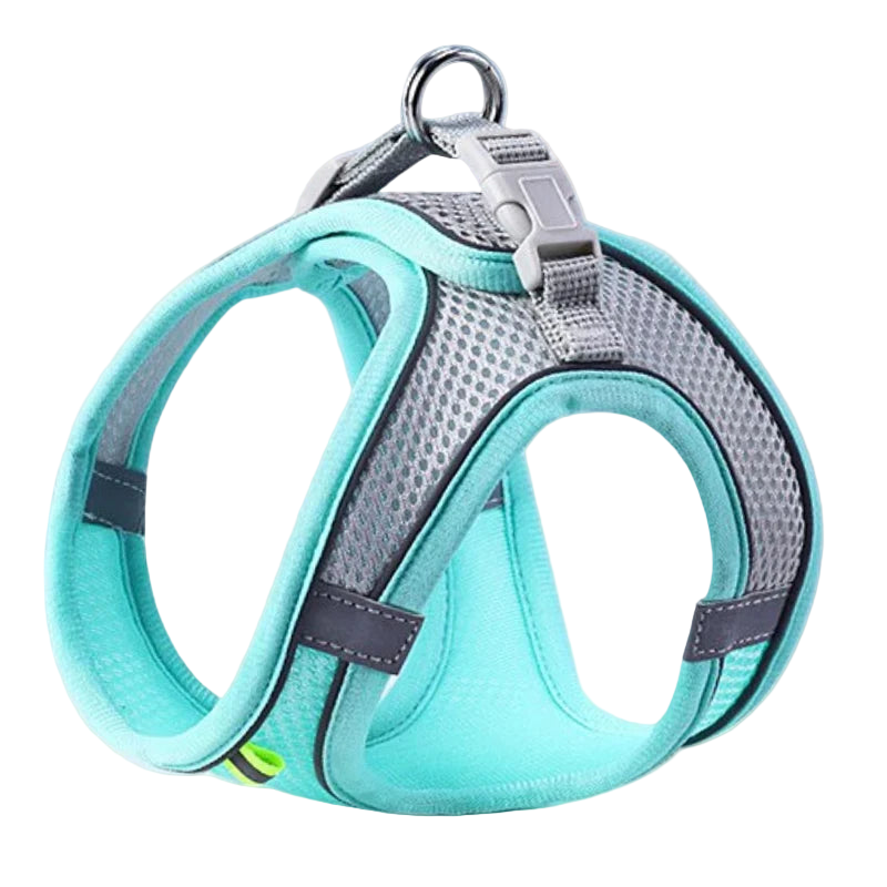 Comfy Adjustable Pet Harness Set