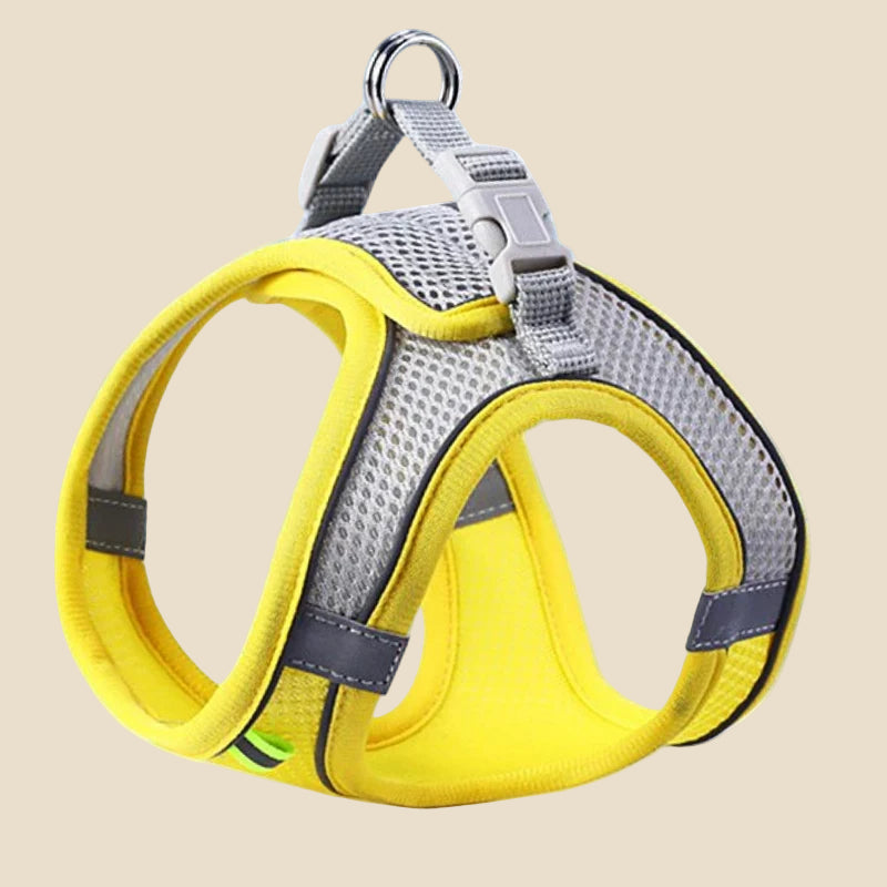Comfy Adjustable Pet Harness Set