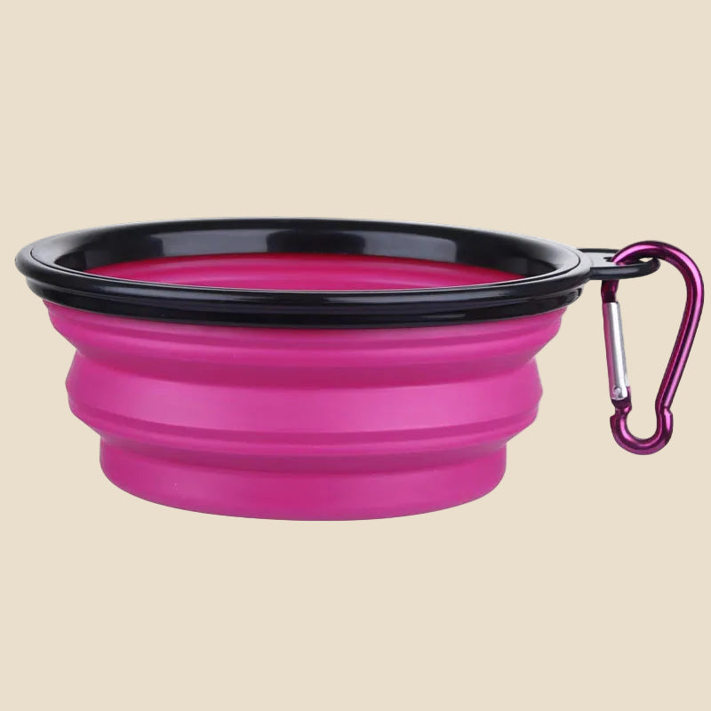 Folding Silicone Pet Travel Bowl