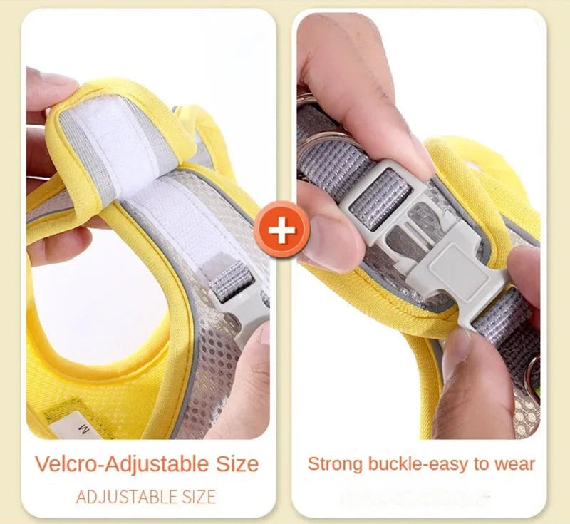 Comfy Adjustable Pet Harness Set