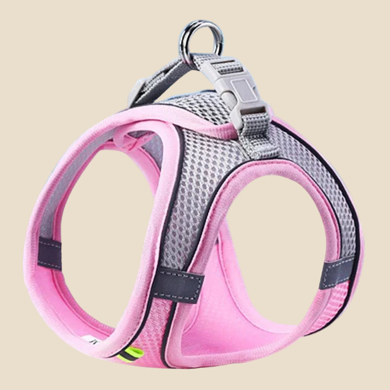 Comfy Adjustable Pet Harness Set