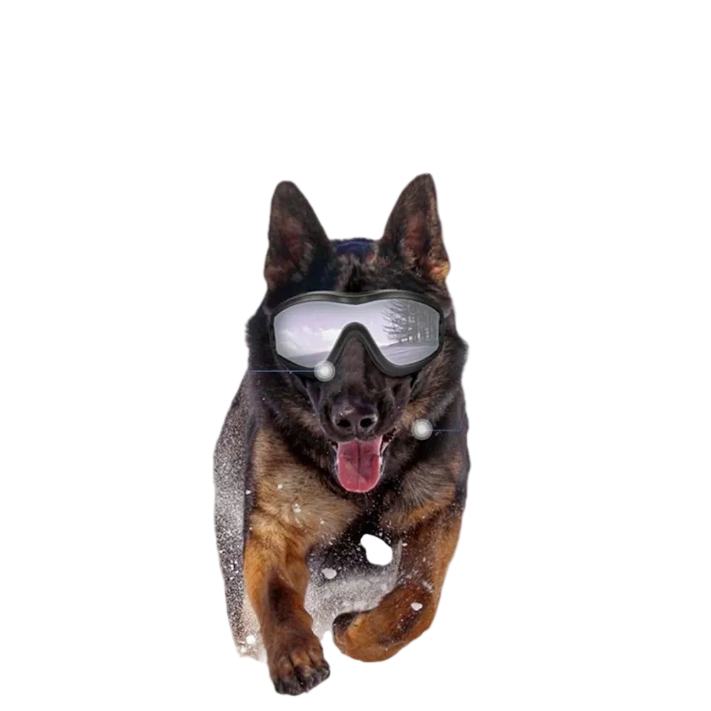 Adjustable Dog Glasses