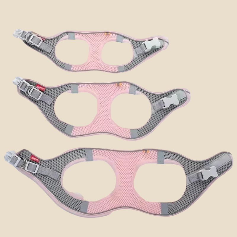 Comfy Adjustable Pet Harness Set