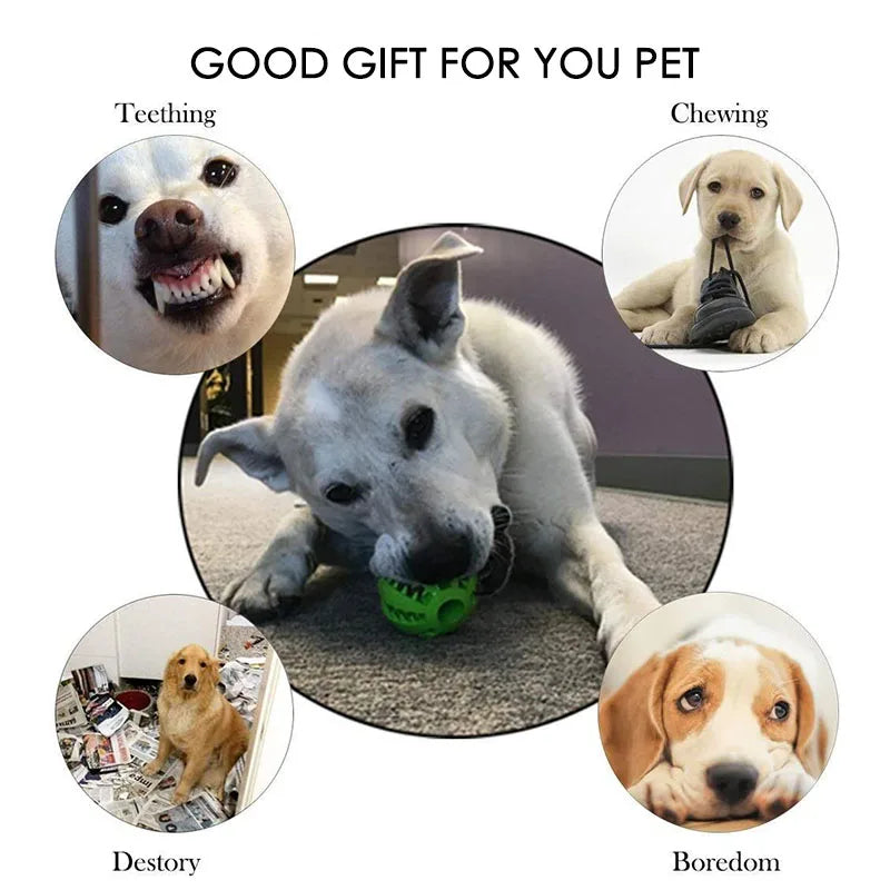 Interactive Treat Ball