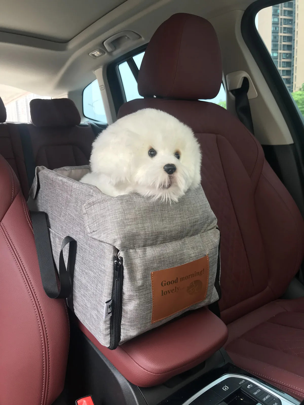 Pet Car Seat Booster with Safety Strap