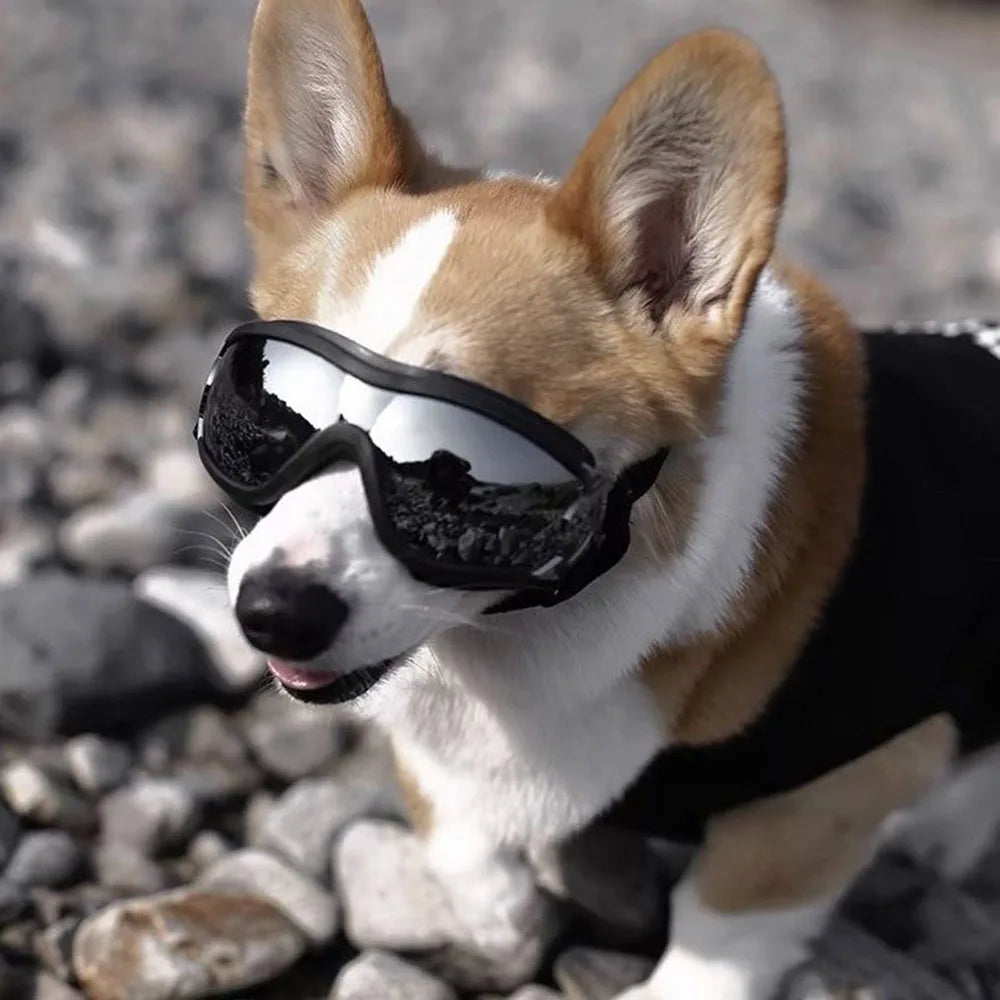 Adjustable Dog Glasses