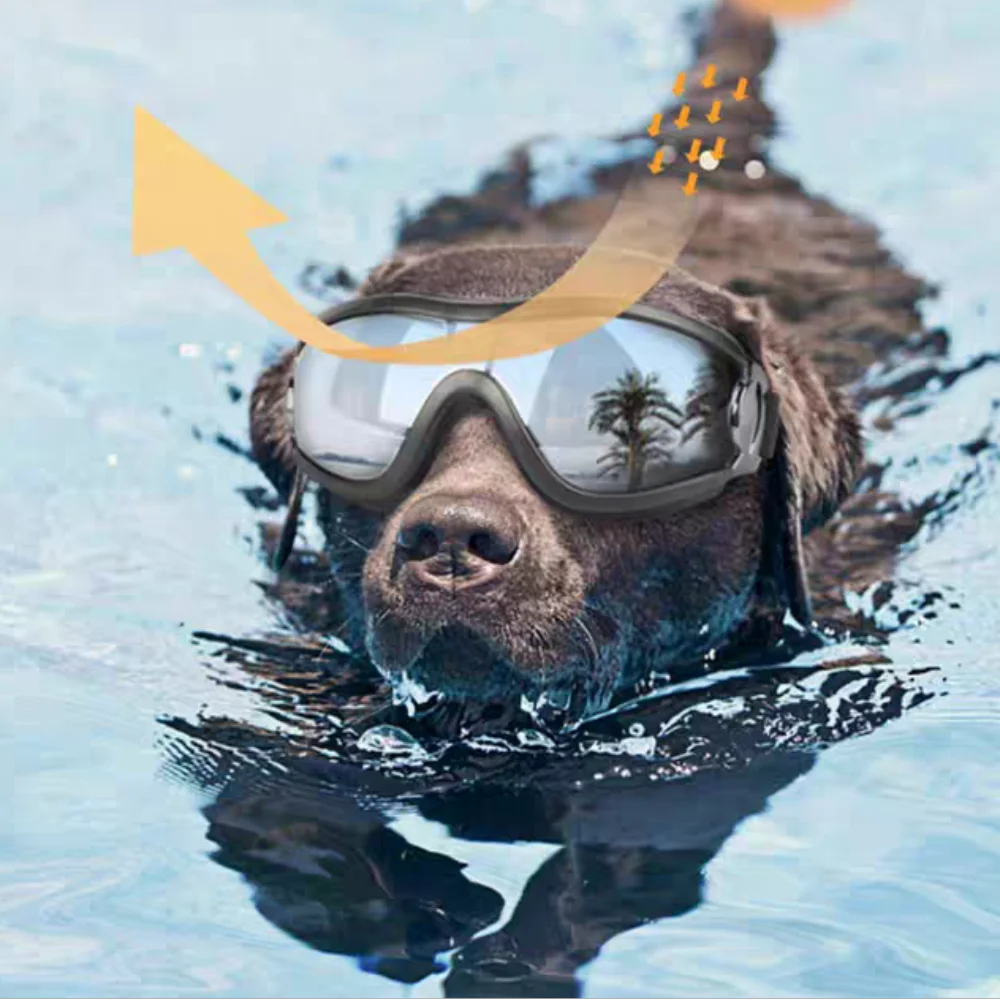 Adjustable Dog Glasses