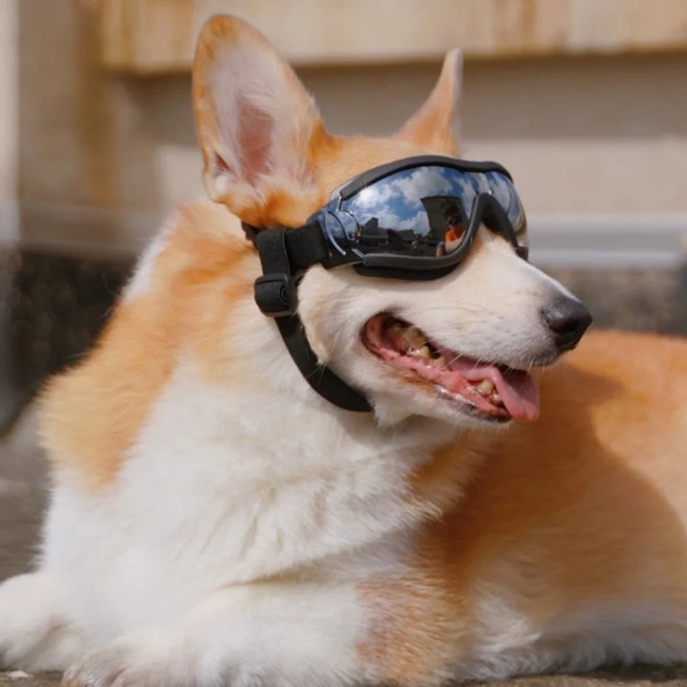 Adjustable Dog Glasses