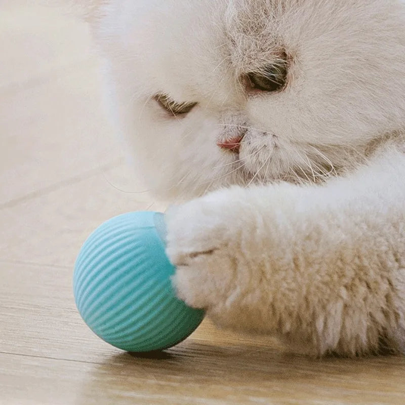 Automatic Rolling Toy Ball