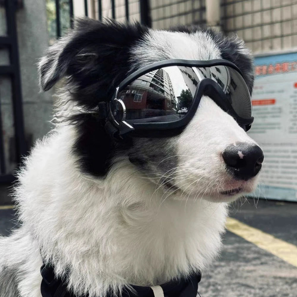 Adjustable Dog Glasses