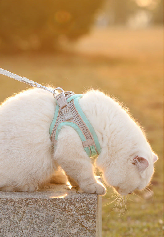 Comfy Adjustable Pet Harness Set