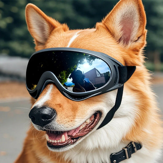 Adjustable Dog Glasses