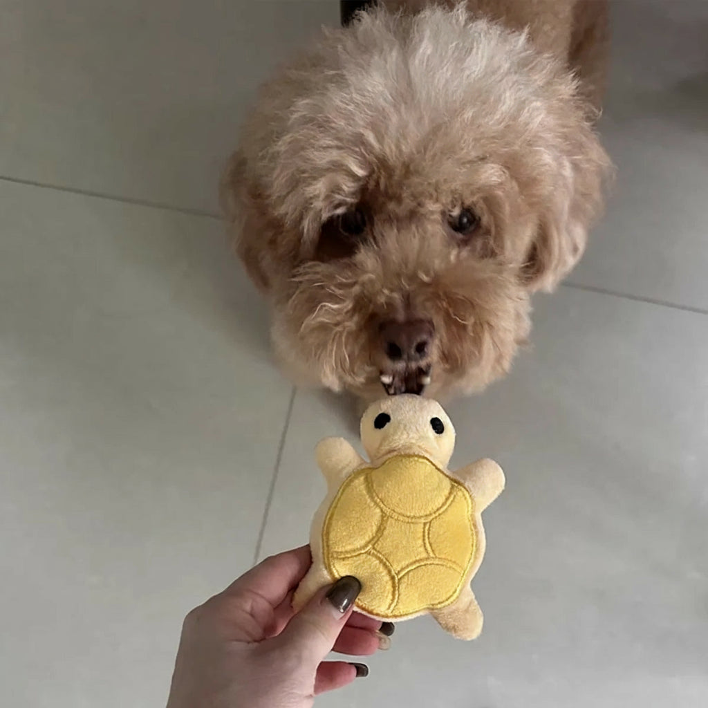 Squeaky Turtle Plush Toy