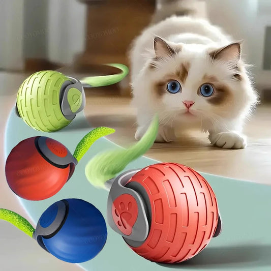 Smart Cat Toys