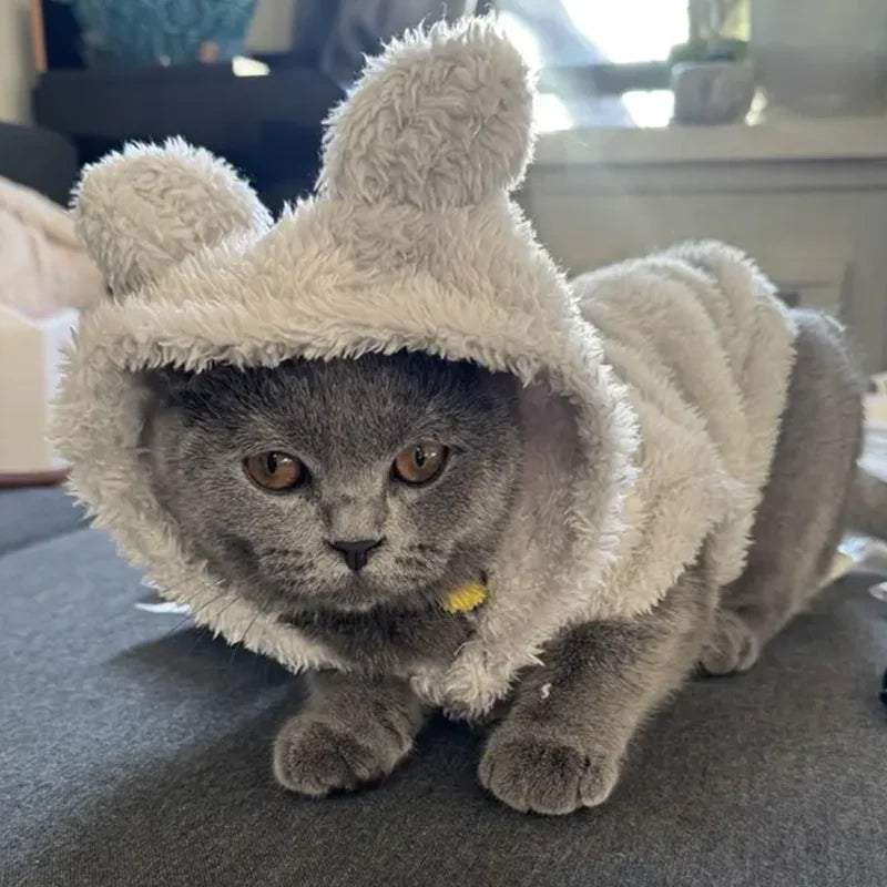 Sphynx Hoodies Coat