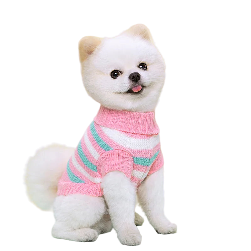Seasonal Knitted Sweater