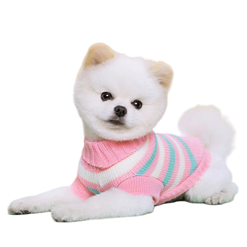 Seasonal Knitted Sweater