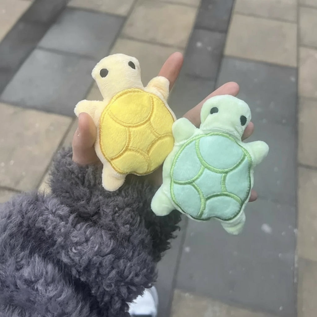 Squeaky Turtle Plush Toy