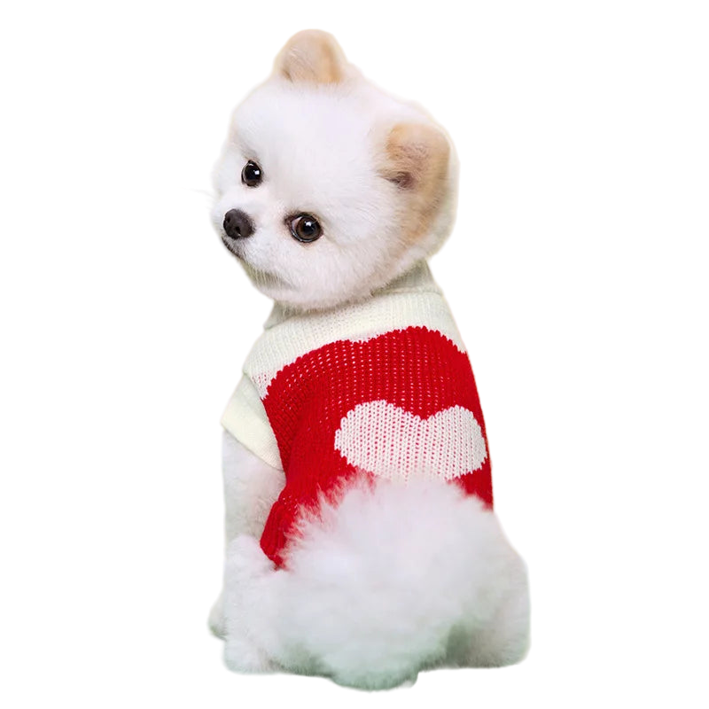 Seasonal Knitted Sweater
