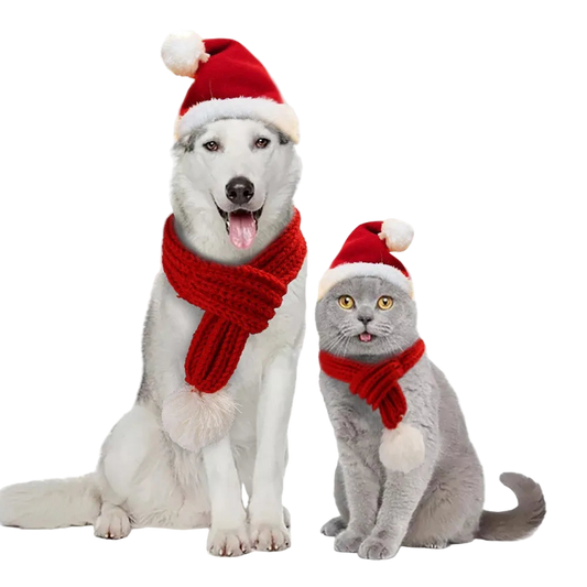 Christmas Hat & Scarf