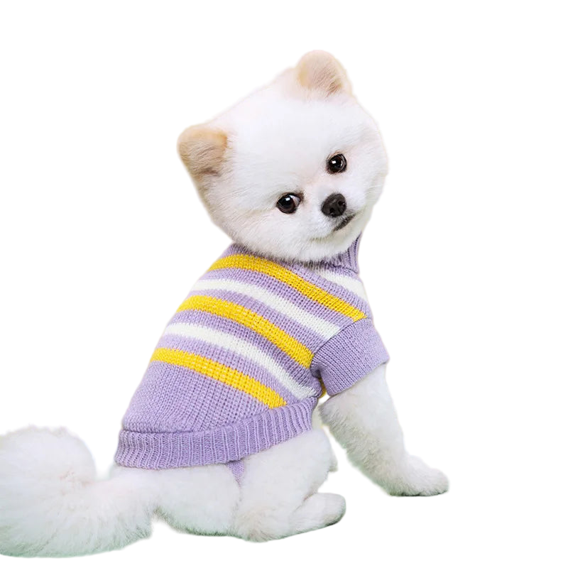 Seasonal Knitted Sweater