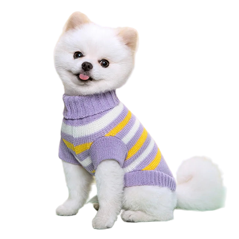 Seasonal Knitted Sweater