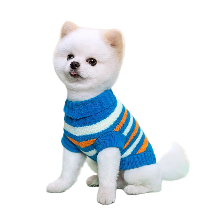 Seasonal Knitted Sweater